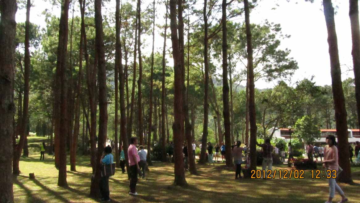 Phradhumnak 14.JPG 122.3K